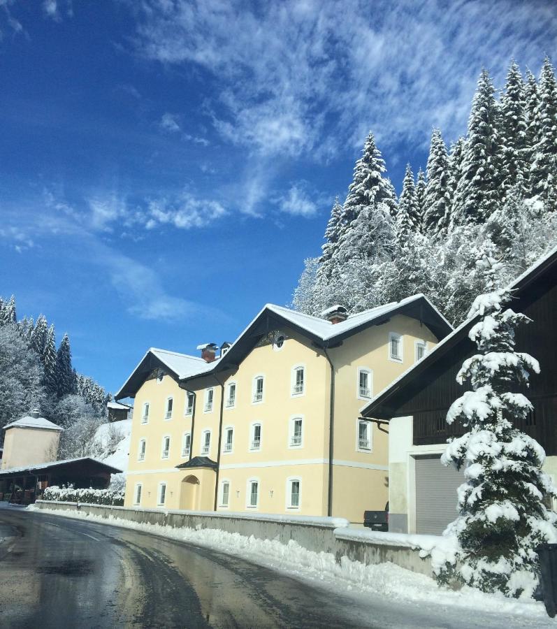 Appartements Feroli Dienten am Hochkönig Exterior photo